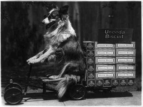 Uneeda Biscuit Collie